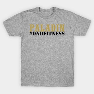 #DNDFitness Paladin! T-Shirt